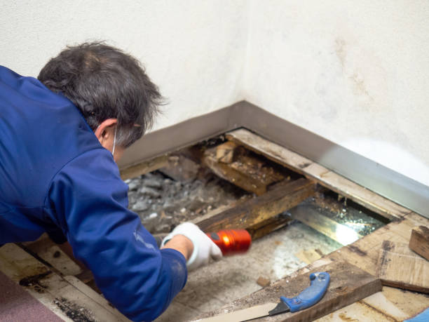 Best Crawl Space Mold Removal  in Reedurban, OH