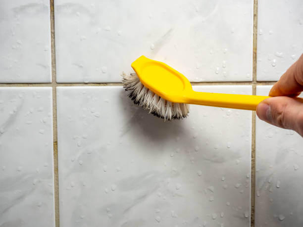 Best Water Damage Restoration  in Reedurban, OH
