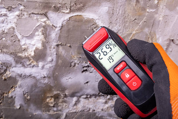 Best Mold Damage Repair  in Reedurban, OH