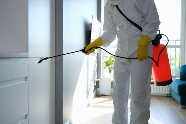 Best Local Mold Removal Service  in Reedurban, OH